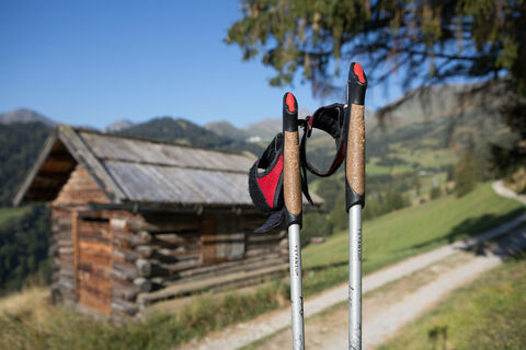Wandern und Nordic Walking - Wandern und Nordic Walking Wandern und Nordic Walking - Wandern und Nordic Walking
